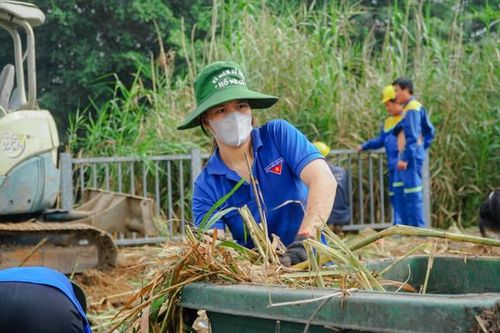 Đoàn viên, sinh viên TP. HCM sôi nổi hưởng ứng Lễ ra quân Chiến dịch Thanh niên tình nguyện Hè