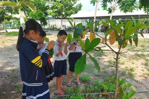 Hà Nội hạn chế tổ chức các hoạt động trải nghiệm tự phát