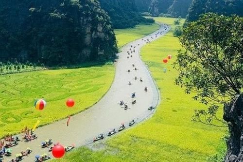 Sắc vàng Tam Cốc-Tràng An làm xao xuyến tâm hồn du khách