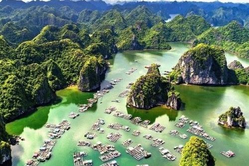 Đảo Cát Bà, Hải phòng: Một trong những bãi biển ngoạn mục nhất châu Á