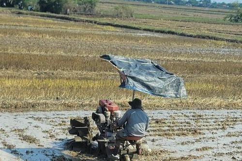 Quảng Trị: Chủ động nguồn nước tưới cho sản xuất nông nghiệp trước thời tiết nắng nóng