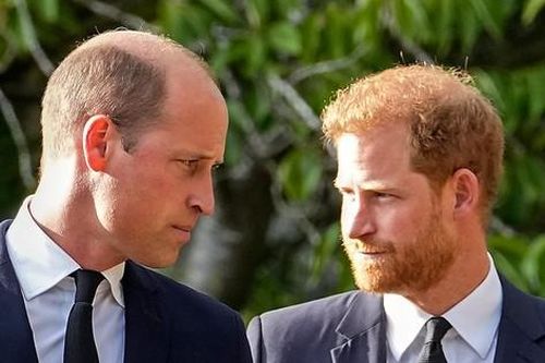 Câu nói khiến Harry phải trả giá
