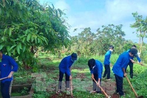 Nhiều thông điệp bảo vệ môi trường tại Ngày Chủ nhật xanh