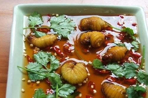 Những loại sâu bọ 'độc nhất vô nhị' đắt đỏ, thực khách săn lùng