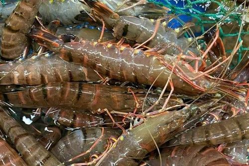 Giá hải sản tăng chóng mặt, thực phẩm giải nhiệt đắt khách