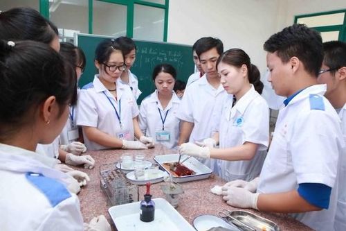 Cần làm rõ về sự cần thiết đưa môn Văn vào xét tuyển chuyên ngành Y khoa