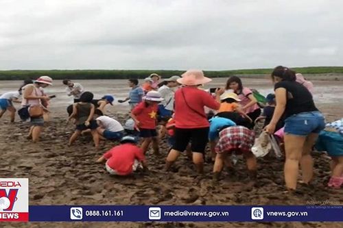 Hoạt động ngoại khóa - Làm sao để an toàn?