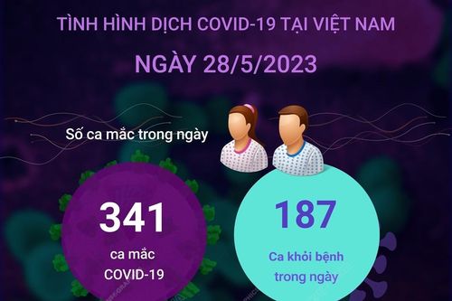 Ngày 28/5/2023: Cả nước ghi nhận 341 ca COVID-19 mới, 187 F0 khỏi bệnh