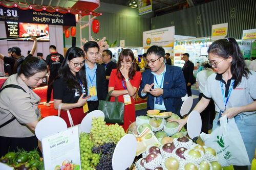 Đưa nông sản Việt xuất khẩu trên 'chợ online'