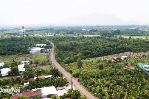'Sốt đất' đi qua, 'cò bay khách biến' (Kỳ 1)