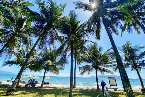 Tỉnh đoàn Khánh Hòa: Lắp đặt 30 ghế đá thân thiện với môi trường