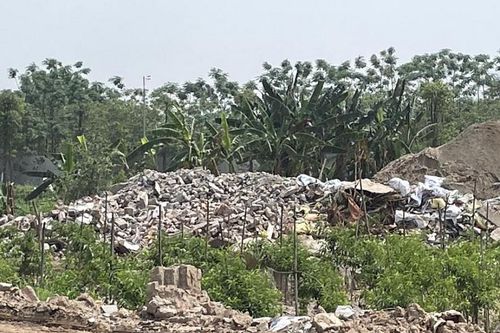 Hà Nội: Xử lý dứt điểm vi phạm trên đất nông nghiệp