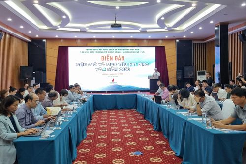 Cần chính sách dài hạn cho điện gió