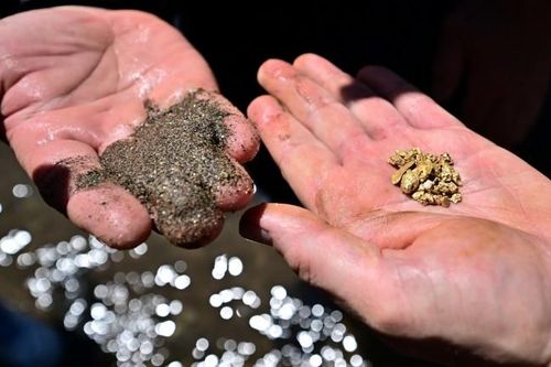 'Báu vật trời ban' tạo nên cơn sốt ở Mỹ: Người dân đổ xô đi tìm cơ hội đổi đời
