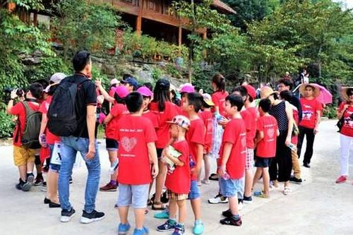 Nhiều chuyến đi dã ngoại dành cho học sinh bị hủy