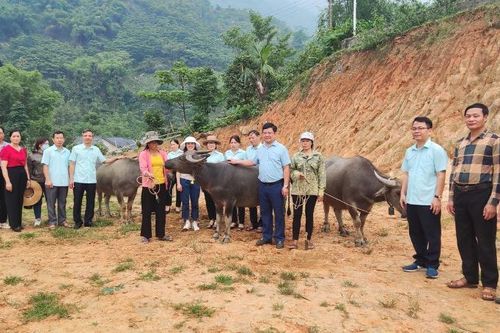 Cùng chăm lo để người nghèo có cuộc sống tốt đẹp hơn