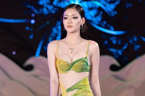Tranh cãi người đẹp tự nhận là 'Hoa hậu Siêu quốc gia Việt Nam'