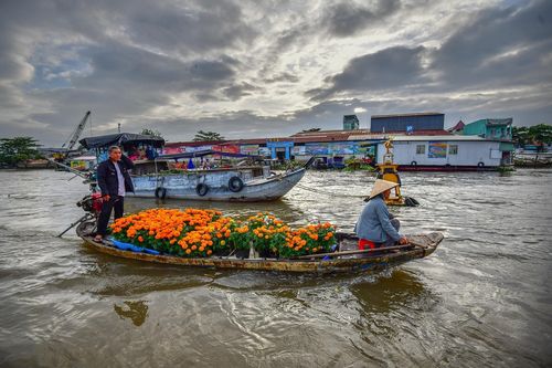 Bồi hồi về một miền Tây vừa quen vừa lạ
