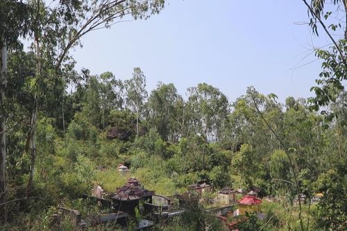 Quảng Ngãi: Di tích Quốc gia thành ... bãi tha ma