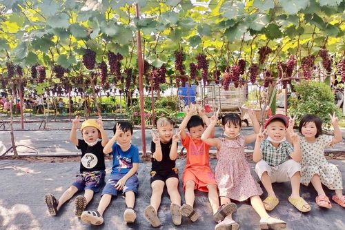 Phát triển nông nghiệp xanh tại huyện Đan Phượng