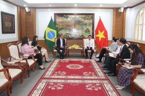Việt Nam – Brazil: Tăng cường hợp tác văn hóa, thể thao