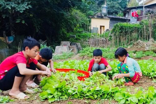 BĐBP gắn bó máu thịt với nhân dân khu vực biên giới (bài 3)