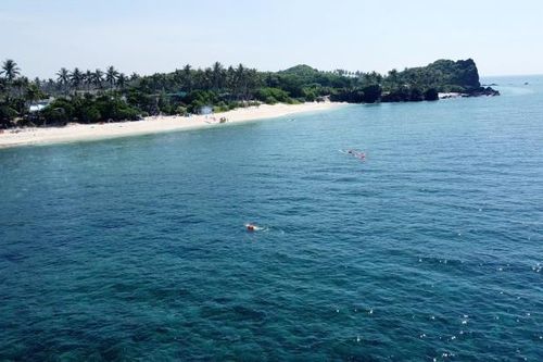 Bơi vượt biển đảo Lý Sơn: Điểm nhấn du lịch biển, đảo