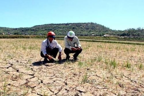 El Nino dự báo gây hạn hán nặng ở hàng loạt tỉnh miền Trung