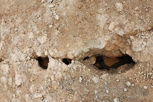 Dự án đê gần 65 tỷ đồng đang thi công bị sụt lún, nứt gãy