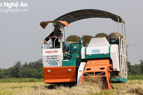 8X Nghệ An tiếc nuối từ chối đơn hàng xuất khẩu rơm tiền tỷ
