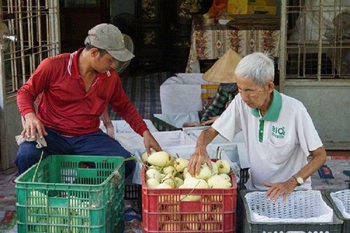 Đồng Tháp: Cải tiến sản xuất, nâng cao chuỗi giá trị ngành hàng xoài