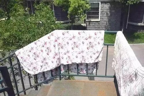 Lấy giấm xịt lên chăn, đệm: Tưởng dở hóa ra tuyệt chiêu ít người biết, giúp tiết kiệm cả đống tiền