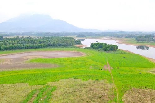 Hà Nội: Hàng ngàn hộ dân 'khát' nước dù ở cạnh 2 nhà máy nước lớn