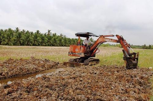 Hà Nội: Các quận, huyện, thị xã phải xử lý dứt điểm vi phạm về đất nông nghiệp