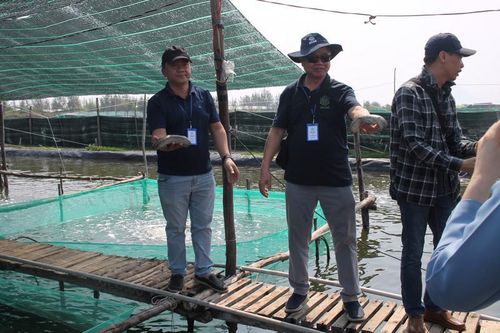 Thúc đẩy cơ chế liên kết tạo chuỗi giá trị ngành hải sâm