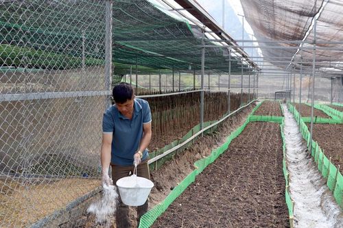 Thu hút đầu tư lĩnh vực nhiều tiềm năng