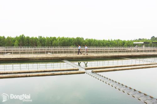 Để mọi người dân đều có nước sạch