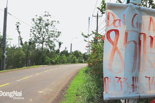 Kỳ 2: 'Gục ngã' trên đống tài sản