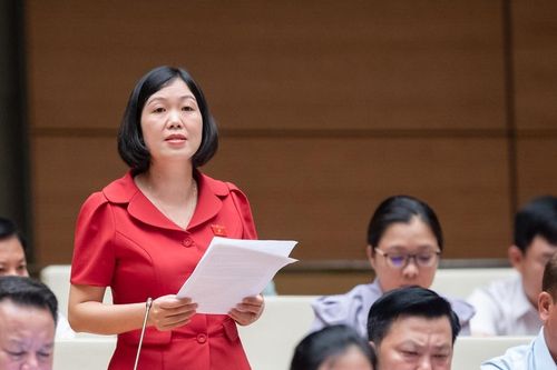 Đại biểu Nguyễn Thị Lan Anh: Đề nghị Chính phủ tăng hạn mức chi từ quỹ BHYT hỗ trợ đối với y tế cơ sở