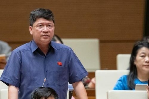 ĐBQH Tạ Văn Hạ (Quảng Nam): Nên giao cho Chính phủ xây dựng kịch bản ứng phó trong mọi tình huống dịch bệnh mới