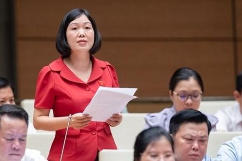 ĐBQH Nguyễn Thị Lan Anh ( Lào Cai): Cần có cơ chế hỗ trợ phù hợp đối với đội ngũ y tế cơ sở