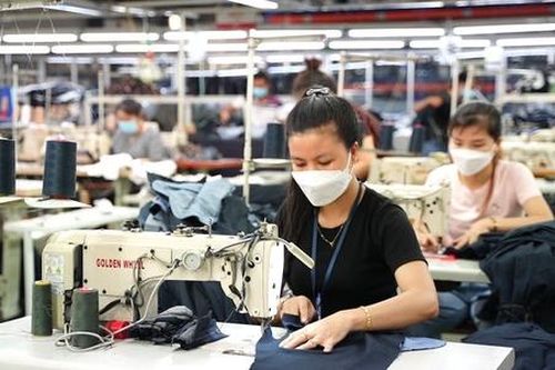Trang phục đạo Hồi, cá khô… mở lối cho xuất khẩu thời lạm phát