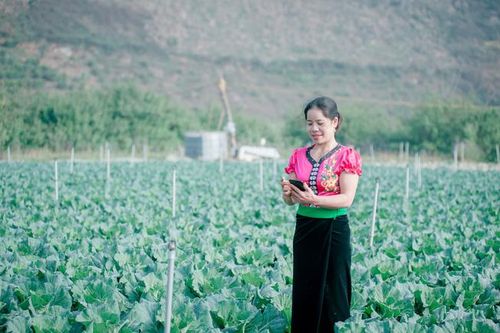 Khai thông ứng dụng công nghệ cho HTX