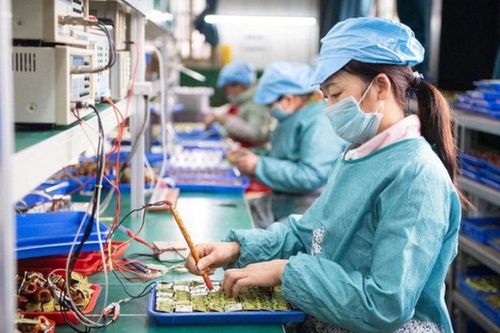 Số liệu thống kê: 94,8% hộ gia đình có thu nhập theo tháng tăng hoặc không đổi