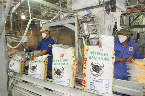 Phân bón Bình Điền dự chi 80 tỷ đồng trả cổ tức đợt cuối năm 2022