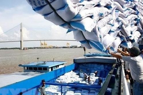 Việt Nam xuất khẩu gạo sang 54 quốc gia châu Phi