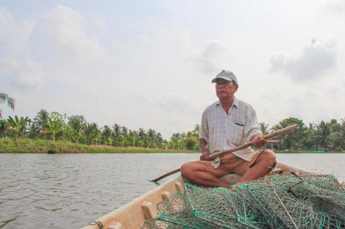 Mô hình sản xuất tôm - lúa hiệu quả ở Kiên Giang