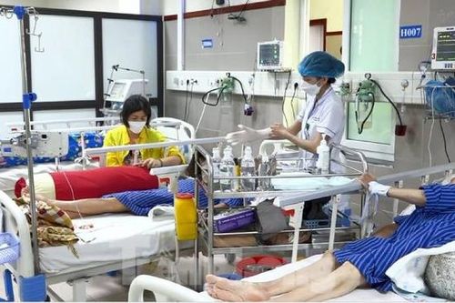 Nguy cơ ngộ độc vì ăn côn trùng lạ