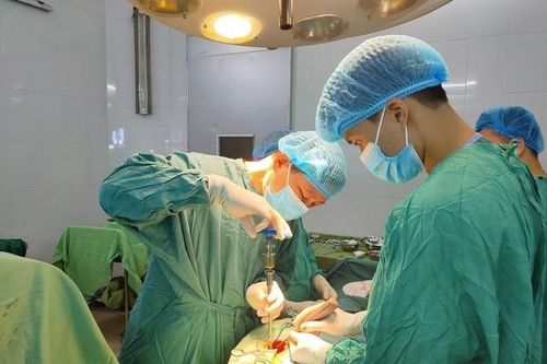 Trèo cây hái vải, người phụ nữ bị ngã đứt tủy sống