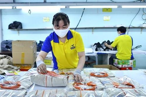 Xanh hóa sản phẩm xuất khẩu